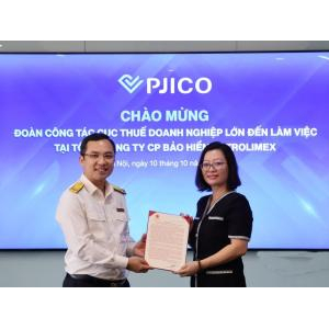 Công Ty Bảo Hiểm Pjico Kiên Giang